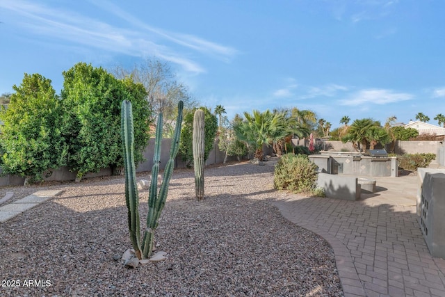 view of yard with exterior kitchen and a patio area