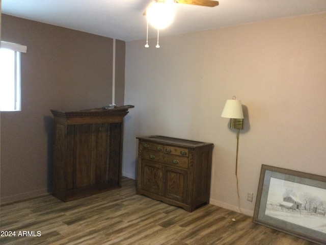 room details with ceiling fan and wood-type flooring