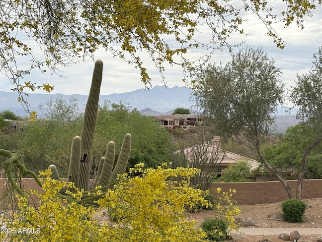 14253 N Honeysuckle Dr N, Fountain Hills, AZ 85268 - mountain view