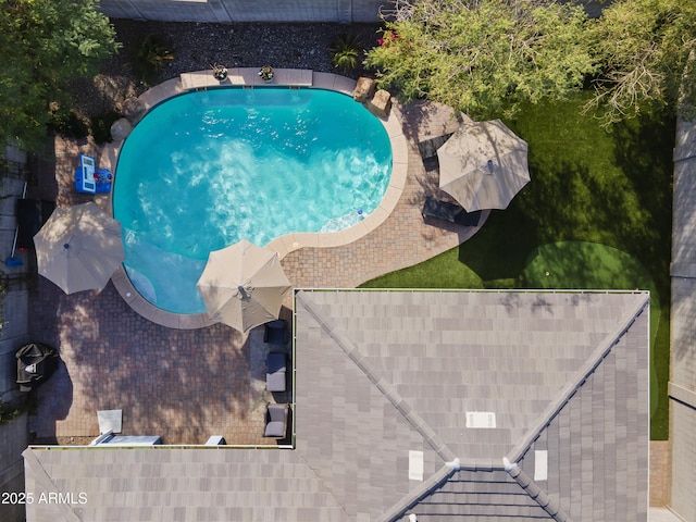 view of swimming pool