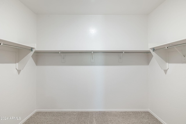 walk in closet featuring carpet flooring