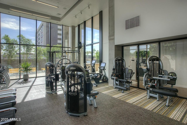 workout area with carpet flooring, floor to ceiling windows, plenty of natural light, and a towering ceiling