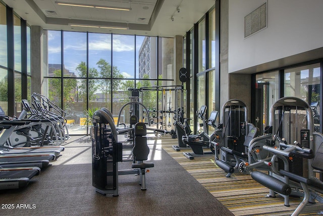 gym with carpet, expansive windows, and a high ceiling