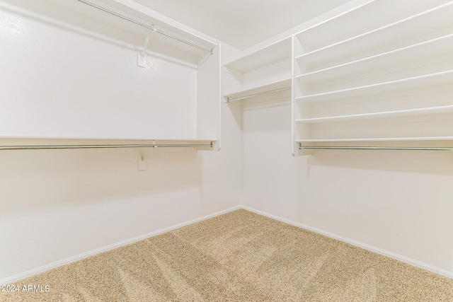 spacious closet featuring carpet