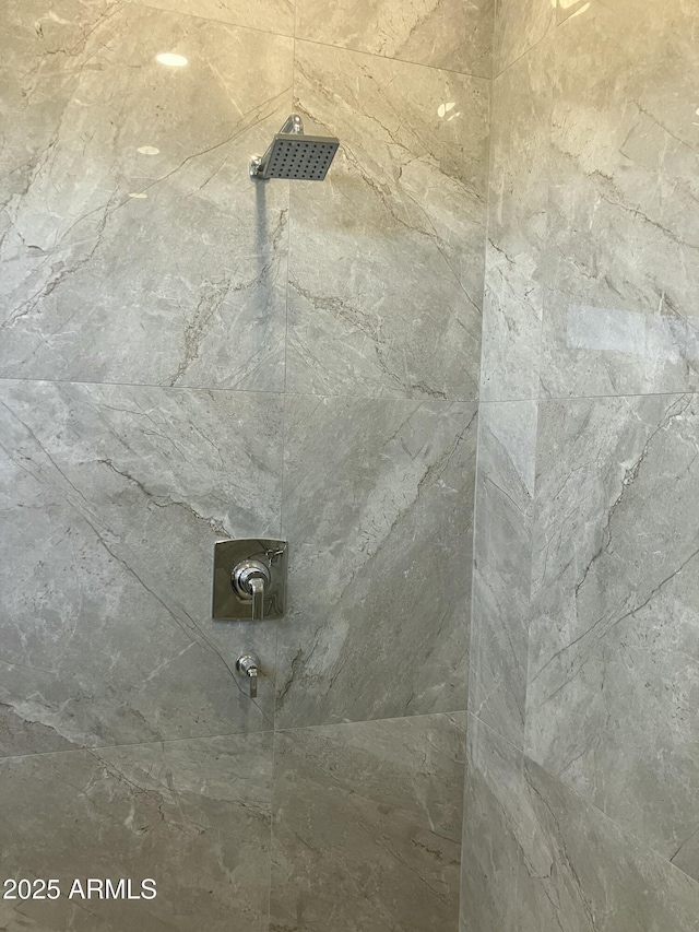 4079 E Roosevelt St, Apache Junction, AZ 85119 - bathroom view of tiled shower