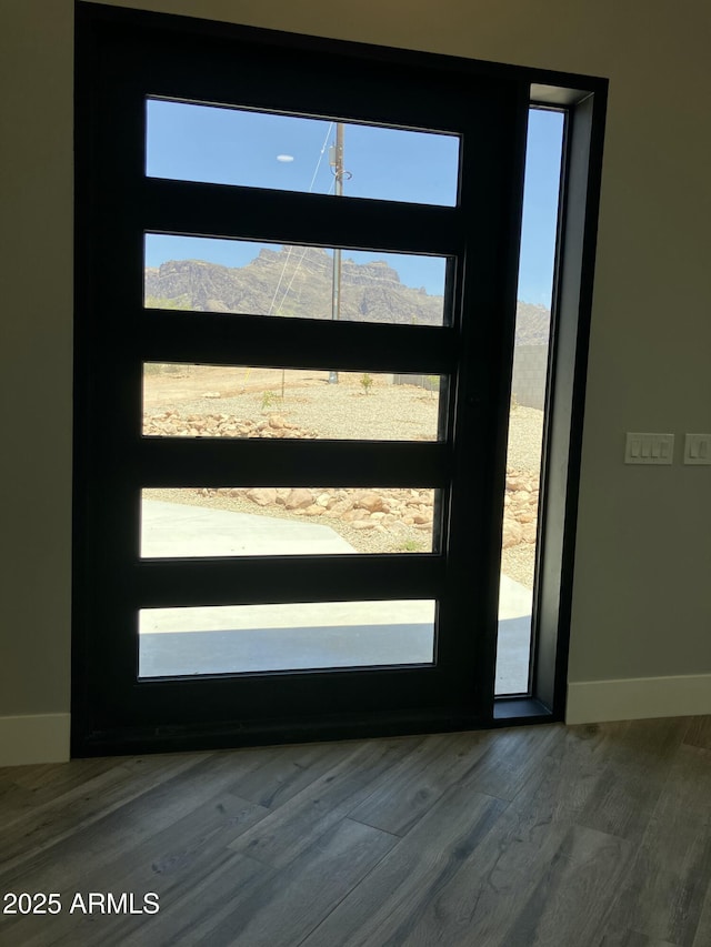 4079 E Roosevelt St, Apache Junction, AZ 85119 - doorway featuring healthy amount of natural light and wood finished floors