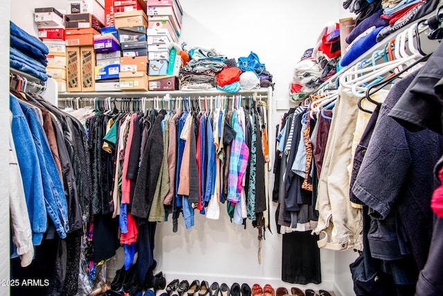 view of spacious closet