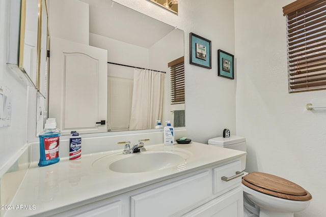 bathroom with toilet and oversized vanity