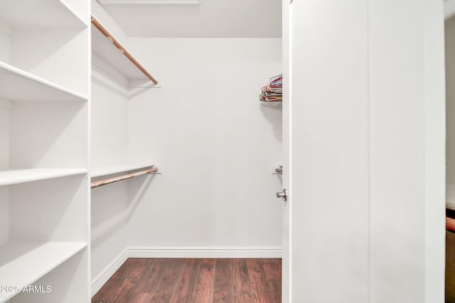 15019 W Banff Ln, Surprise, AZ 85379 - spacious closet with dark wood finished floors