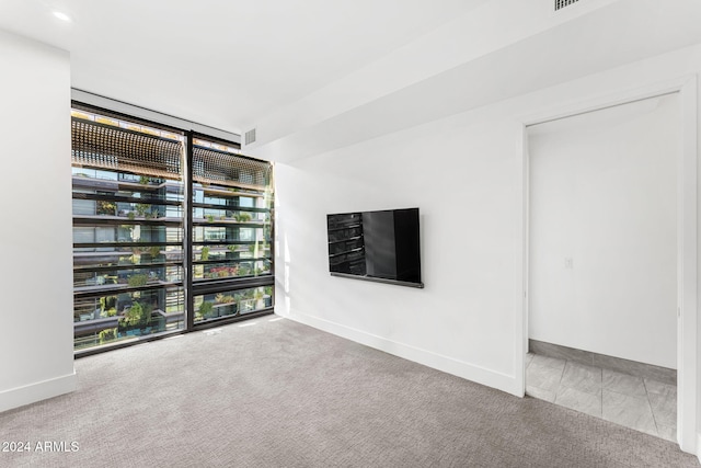 spare room featuring expansive windows and light carpet