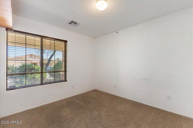 45131 W Horse Mesa Rd, Maricopa, AZ 85139 - spare room with carpet and healthy amount of natural light