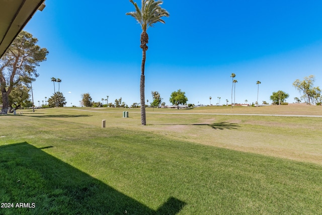 view of community with a lawn