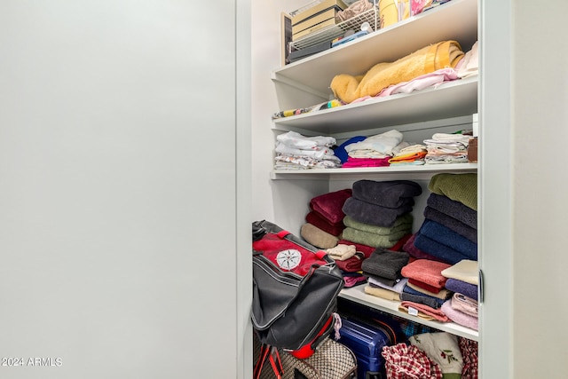 view of closet