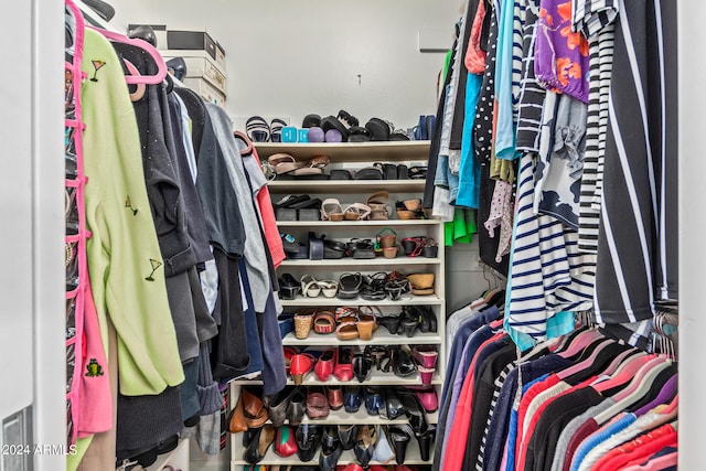 view of spacious closet