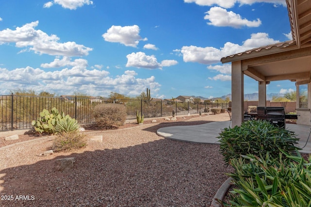 view of yard featuring a patio area