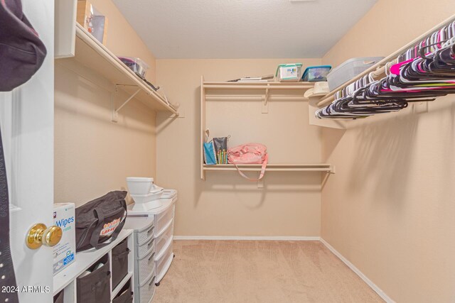 spacious closet featuring light colored carpet