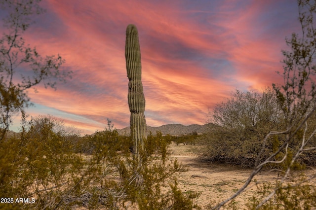 Listing photo 2 for 4 N Martin Rd -, Unit Casa Grande AZ 85194