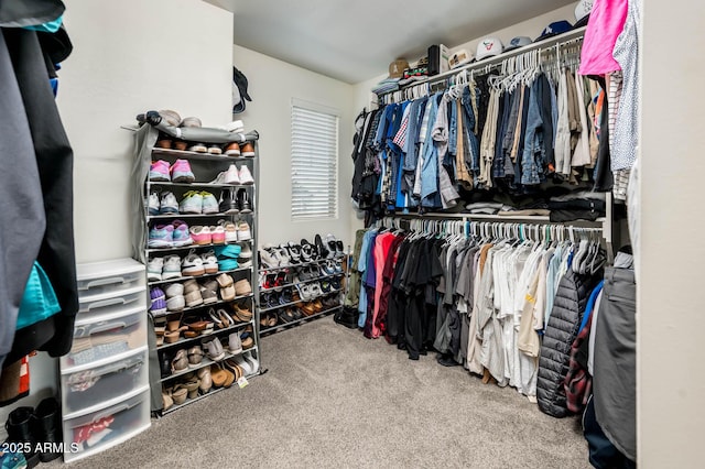 walk in closet with carpet