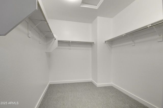 walk in closet with light carpet