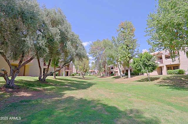 9355 N 91st St Unit 116, Scottsdale, AZ 85258 - view of home's community featuring a residential view and a yard