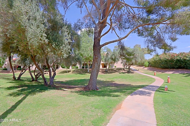 9355 N 91st St Unit 116, Scottsdale, AZ 85258 - surrounding community with a yard