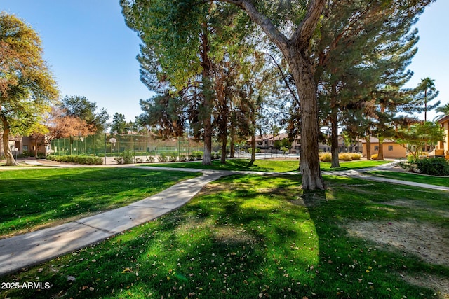 view of property's community with a lawn