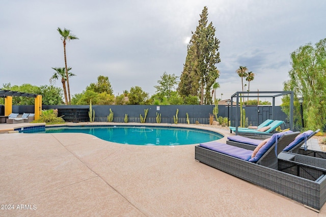 view of pool featuring a fenced in pool, fence private yard, and a patio