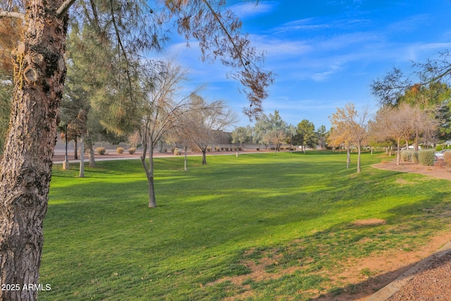 view of home's community with a lawn