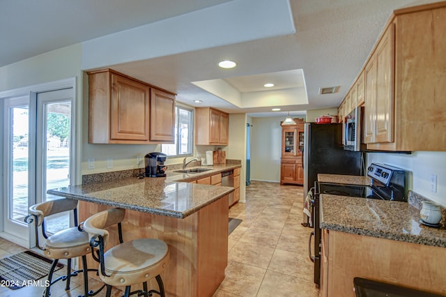 kitchen with stone countertops, a tray ceiling, a breakfast bar area, kitchen peninsula, and stainless steel appliances