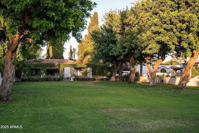 4316 N 40th St, Phoenix, AZ 85018 - view of grassy yard