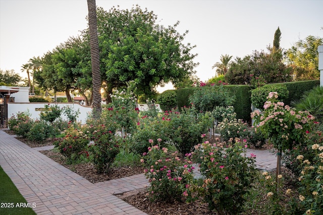 4316 N 40th St, Phoenix, AZ 85018 - view of fenced yard