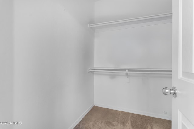 11159 E Sebring Ave, Mesa, AZ 85212 - walk in closet with carpet flooring