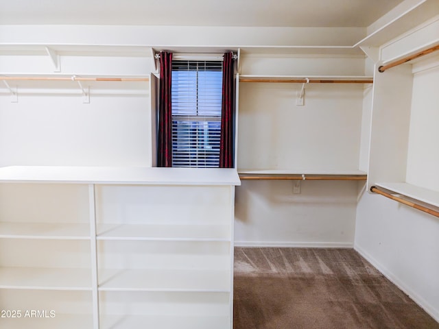 spacious closet with dark colored carpet