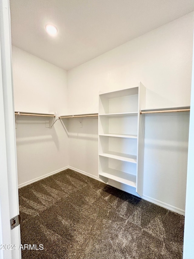 walk in closet featuring dark colored carpet