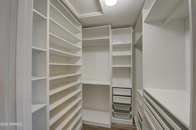 4714 E Paso Trl, Phoenix, AZ 85050 - spacious closet featuring dark wood-type flooring