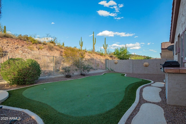 4615 S Primrose Dr, Gold Canyon, AZ 85118 - view of yard with a fenced backyard