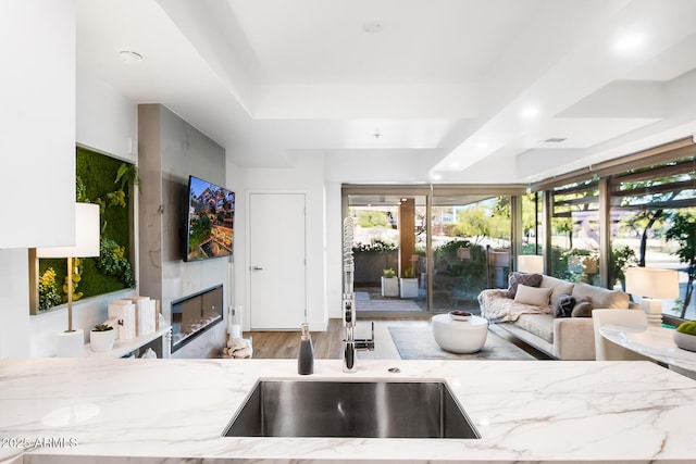 kitchen with hardwood / wood-style flooring, sink, a fireplace, and light stone counters