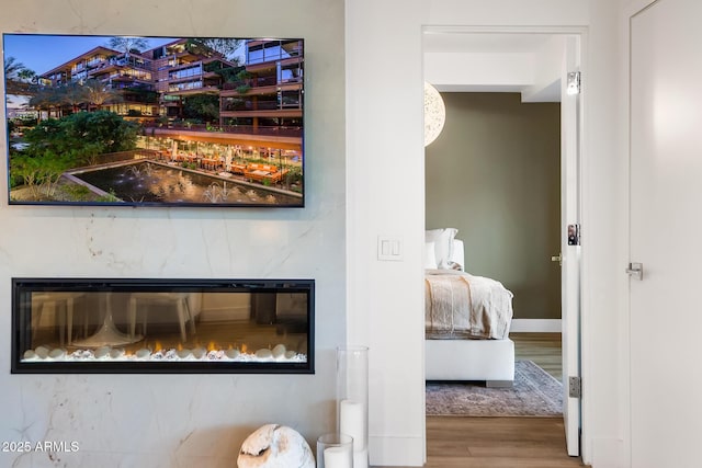 interior details with hardwood / wood-style flooring and a high end fireplace