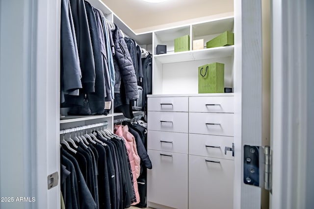 view of spacious closet