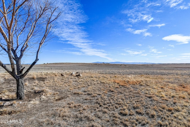view of yard with a mountain view and a desert view