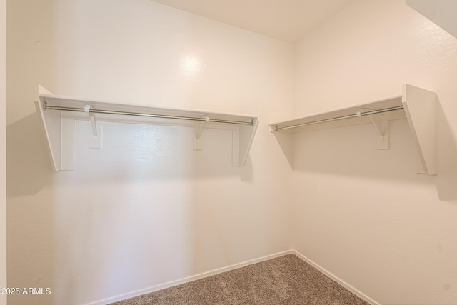 spacious closet featuring carpet flooring