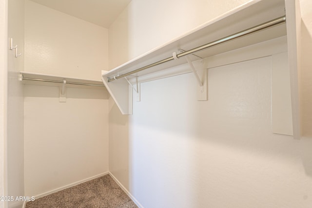 spacious closet with carpet floors