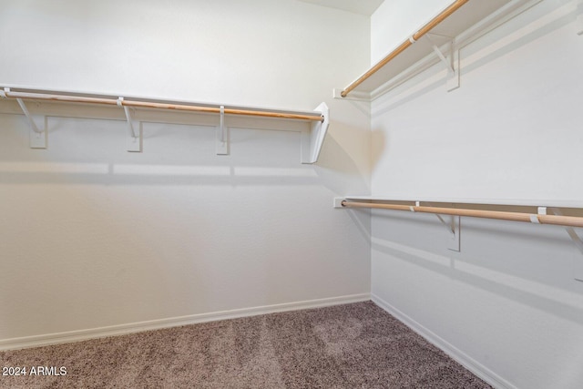 walk in closet featuring carpet flooring