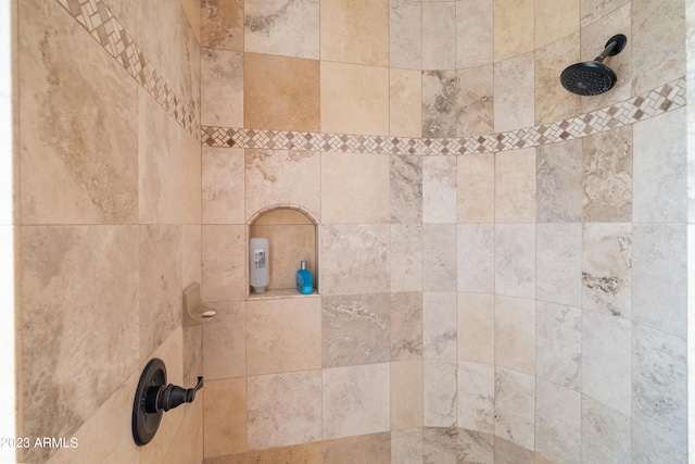 room details featuring tiled shower