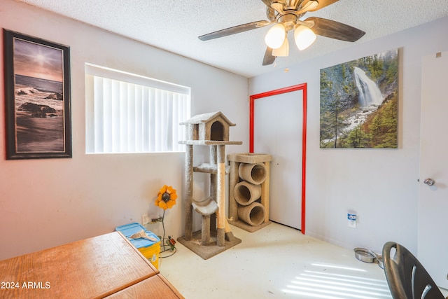 miscellaneous room with ceiling fan and a textured ceiling