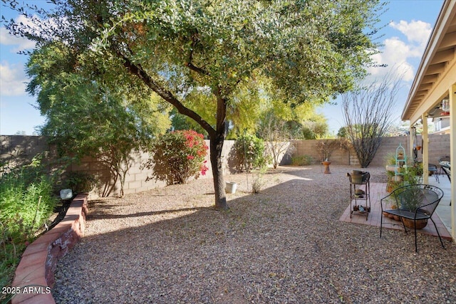 view of yard with a patio