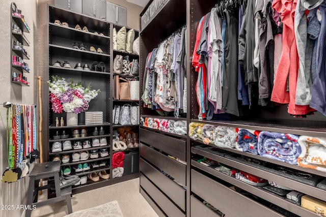 view of walk in closet