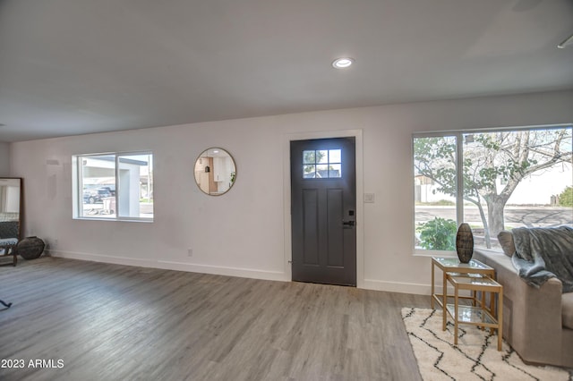 foyer entrance featuring hardwood / wood-style flooring