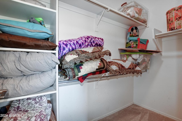 spacious closet with carpet flooring