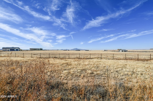 view of yard with a rural view